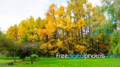 Autumn Season In Russia Moscow Stock Photo