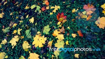 Autumn Season In Russia Moscow Stock Photo