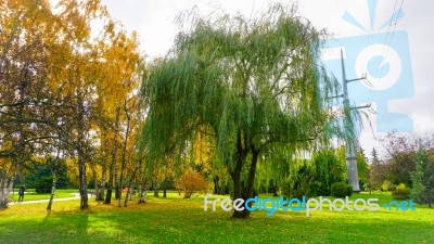 Autumn Season In Russia Moscow Stock Photo