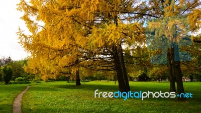 Autumn Season In Russia Moscow Stock Photo