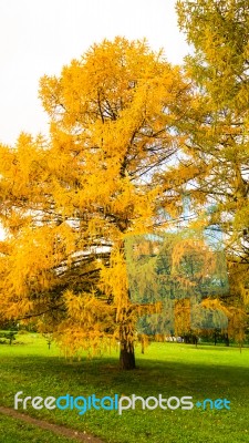 Autumn Season In Russia Moscow Stock Photo