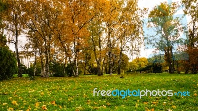 Autumn Season In Russia Moscow Stock Photo