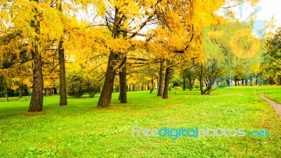 Autumn Season In Russia Moscow Stock Photo