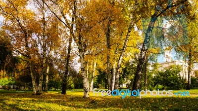 Autumn Season In Russia Moscow Stock Photo