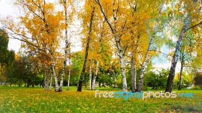 Autumn Season In Russia Moscow Stock Photo