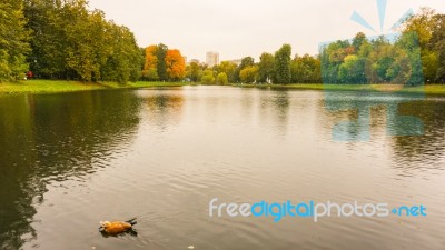 Autumn Season In Russia Moscow Stock Photo