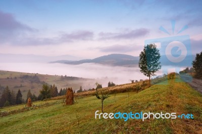 Autumn September Foggy Morning In Mountains Stock Photo