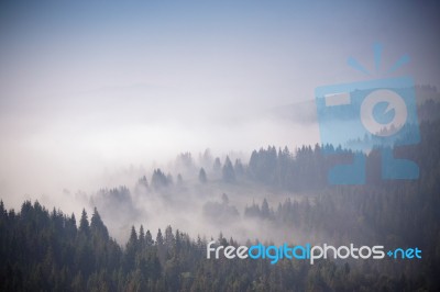 Autumn September Foggy Morning In Mountains Stock Photo