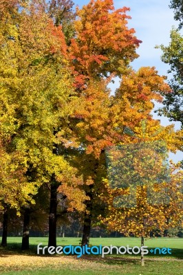 Autumn Tints In Parco Di Monza Italy Stock Photo