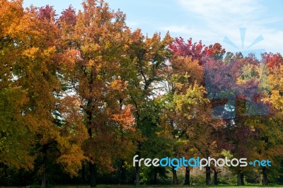 Autumn Tints In Parco Di Monza Italy Stock Photo