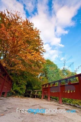 Autumn Tree And Red Wooden Bridge With Stone Laid Pathway At The… Stock Photo