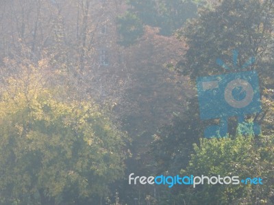 Autumn Tree Foliage Texture Stock Photo