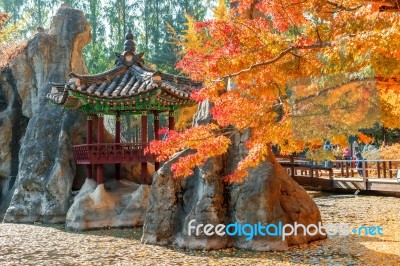 Autumn Trees In Nami Island, Korea Stock Photo