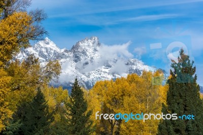 Autumnal Colours In The Grand Teton National Park Stock Photo