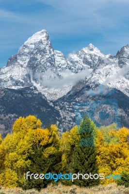 Autumnal Colours In The Grand Teton National Park Stock Photo