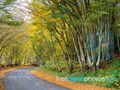 Autumnal Scene In The Sussex Countryside Stock Photo