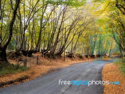 Autumnal Scene In The Sussex Countryside Stock Photo