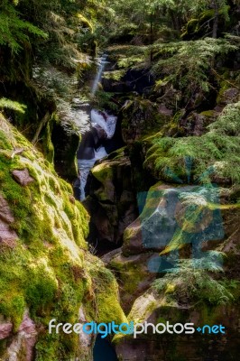 Avalanche Creek Stock Photo