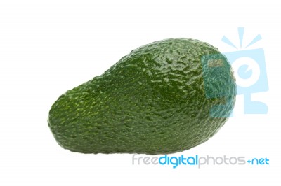 Avocado Isolated Stock Photo