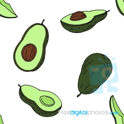 Avocado Seamless Pattern By Hand Drawing On White Backgrounds Stock Image