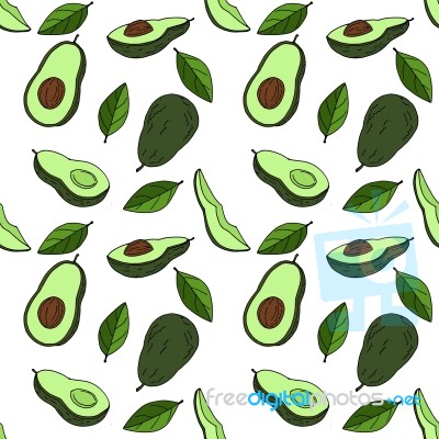 Avocado Seamless Pattern By Hand Drawing On White Backgrounds Stock Image