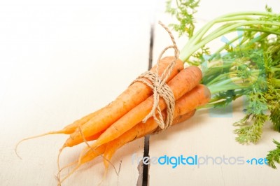 Baby Carrots Bunch Tied With Rope Stock Photo