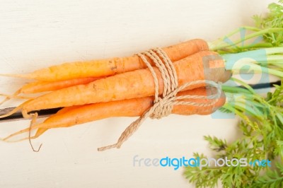 Baby Carrots Bunch Tied With Rope Stock Photo