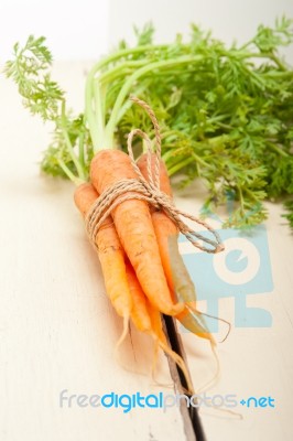 Baby Carrots Bunch Tied With Rope Stock Photo