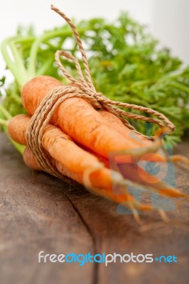 Baby Carrots Bunch Tied With Rope Stock Photo