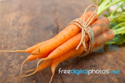 Baby Carrots Bunch Tied With Rope Stock Photo