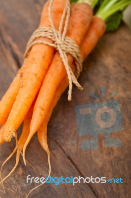 Baby Carrots Bunch Tied With Rope Stock Photo