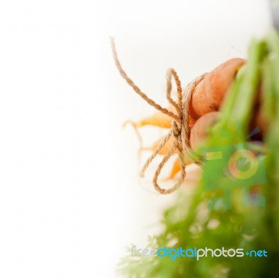 Baby Carrots Bunch Tied With Rope Stock Photo