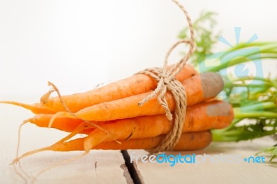 Baby Carrots Bunch Tied With Rope Stock Photo