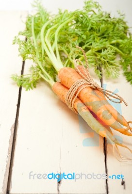 Baby Carrots Bunch Tied With Rope Stock Photo