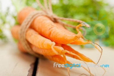 Baby Carrots Bunch Tied With Rope Stock Photo