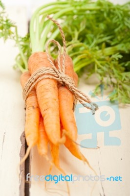 Baby Carrots Bunch Tied With Rope Stock Photo