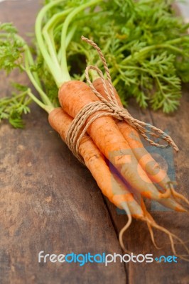 Baby Carrots Bunch Tied With Rope Stock Photo