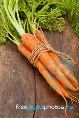 Baby Carrots Bunch Tied With Rope Stock Photo