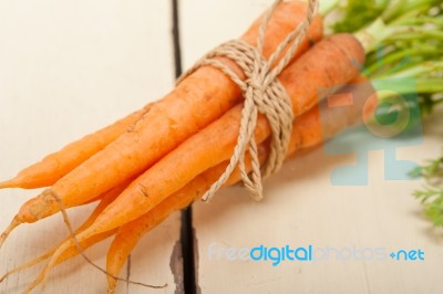 Baby Carrots Bunch Tied With Rope Stock Photo