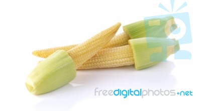 Baby Corn On A White Background Stock Photo