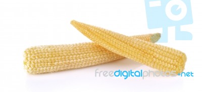 Baby Corn On A White Background Stock Photo