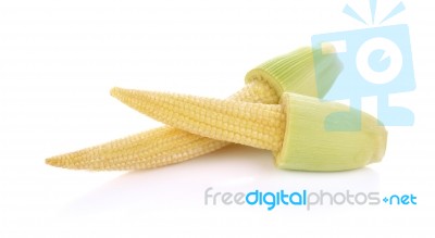 Baby Corn On A White Background Stock Photo