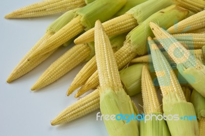 Baby Corns Stock Photo