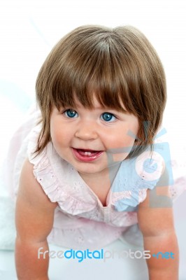 Baby Girl Crawling Stock Photo