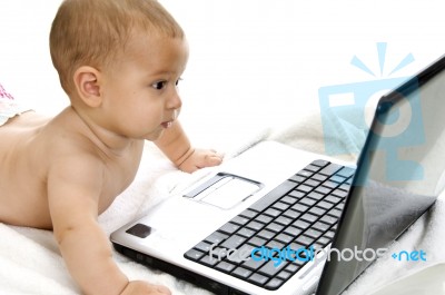 Baby Looking Laptop Stock Photo