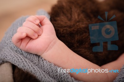 Baby 's Hand Stock Photo