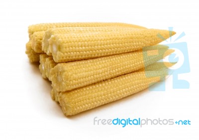 Baby Sweetcorn Stock Photo