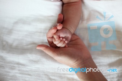 Baby's Hand Hold By Mother Hand Closeup Stock Photo