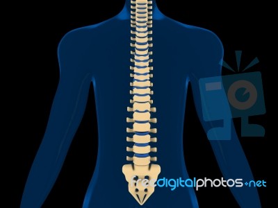 Back Pain, Spine, Backache Stock Image