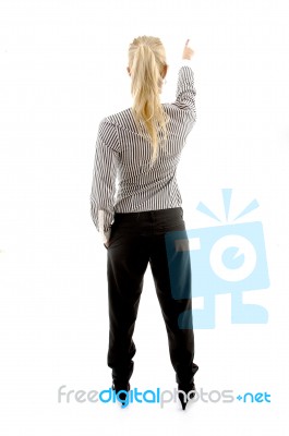 Back Pose Of Executive Indicating Stock Photo